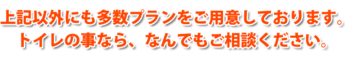 上記以外にも多数プランをご用意しております。トイレの事なら、なんでもご相談ください。