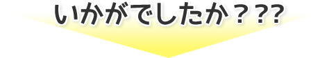 いかがでしたか？