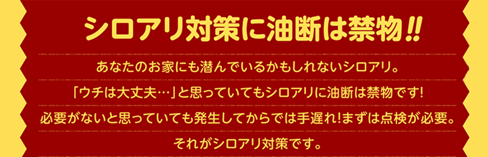 シロアリ対策に油断は禁物