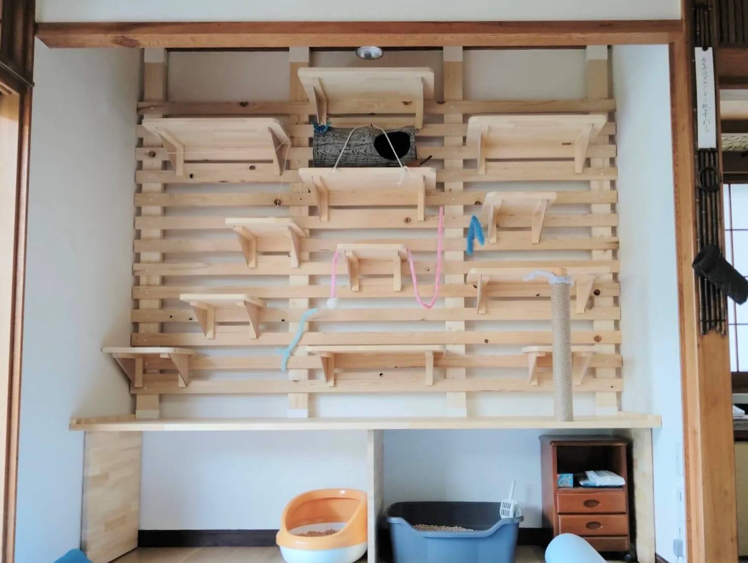 愛猫のためのキャットウォーク造作